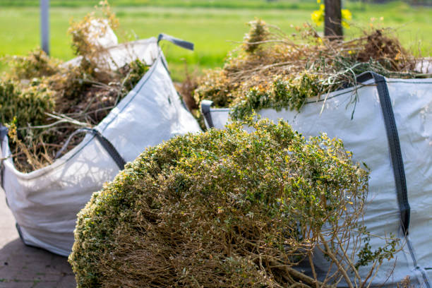 Best Attic Cleanout Services  in Center, TX